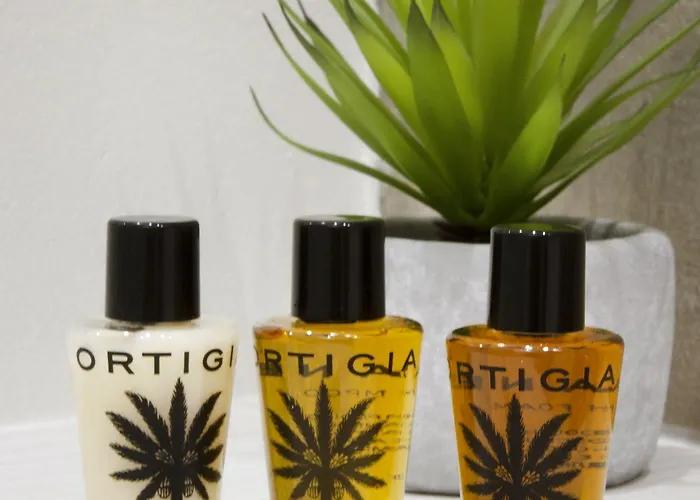 شقة Getthekey San Vitale بولونيا